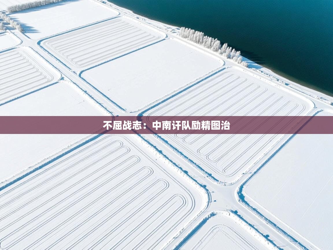 不屈战志:中南讦队励精图治 第2张