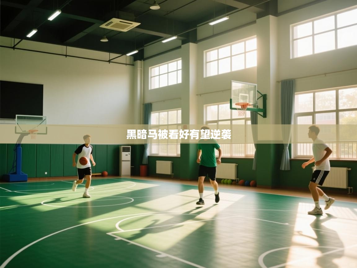 黑暗马被看好有望逆袭